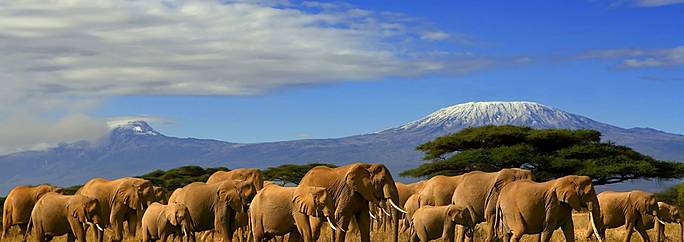 Tarangire National Park