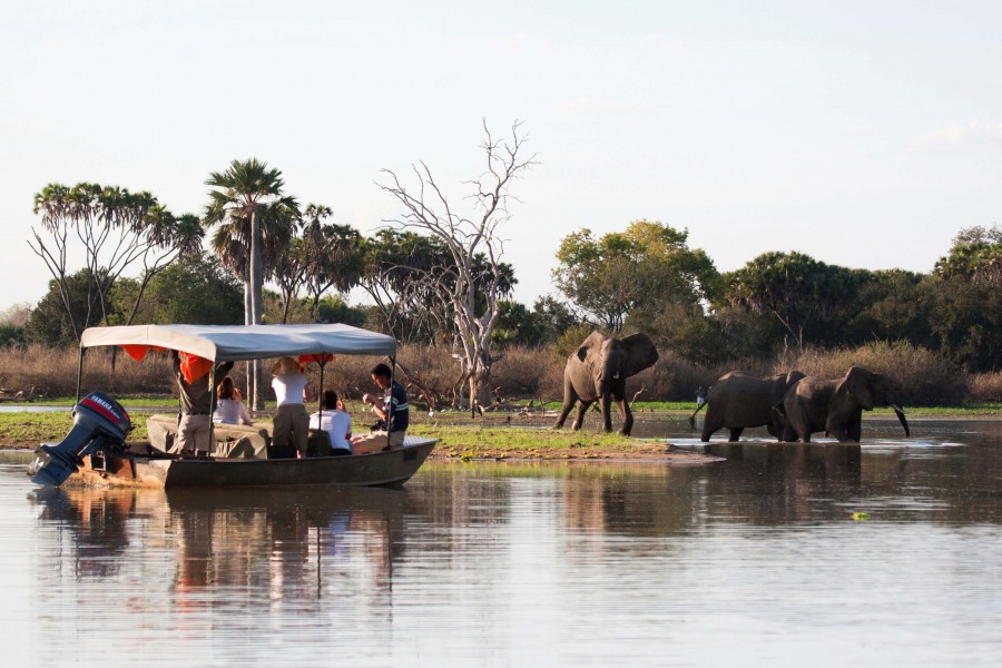 Nyerere National Park