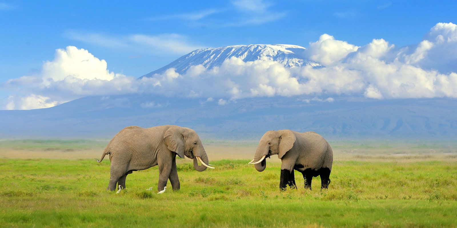 Amboseli National Park