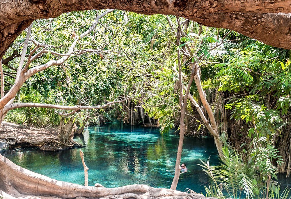 Things to do at Kikuletwa Hot Springs