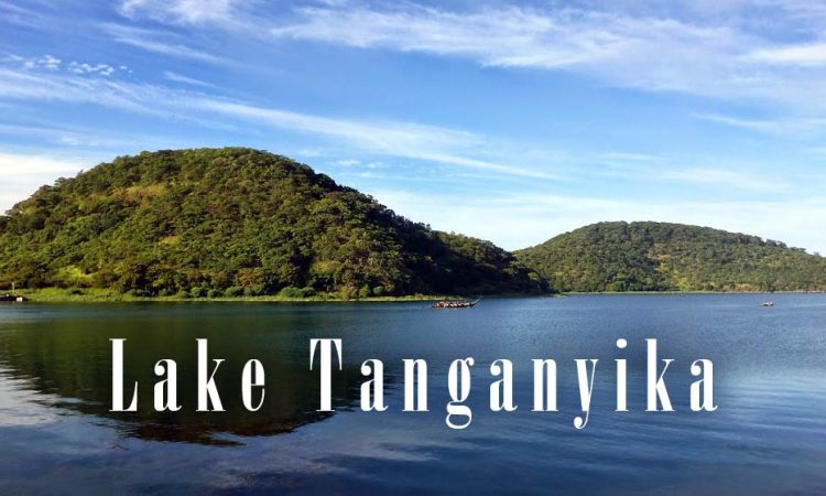 Fishing Safaris In Tanzania