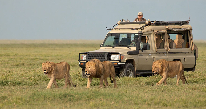 8 Days Kenya, Tanzania and Zanzibar Safari