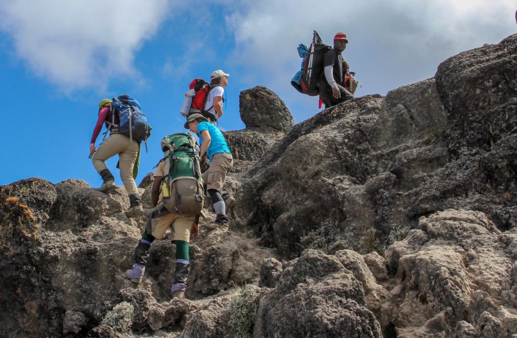 16 Days Kilimanjaro Hiking, Wildlife and Zanzibar Safari