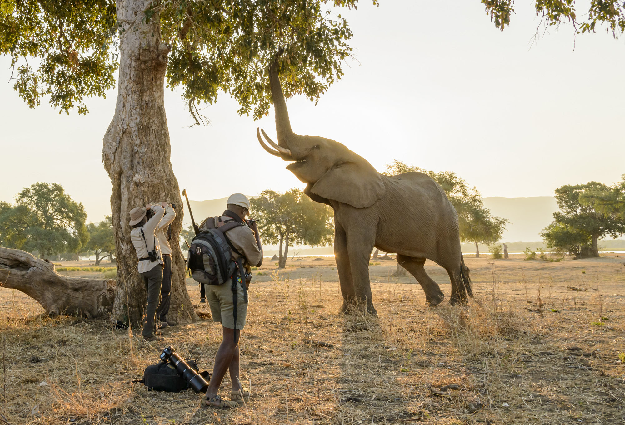 Serengeti National Park Activities