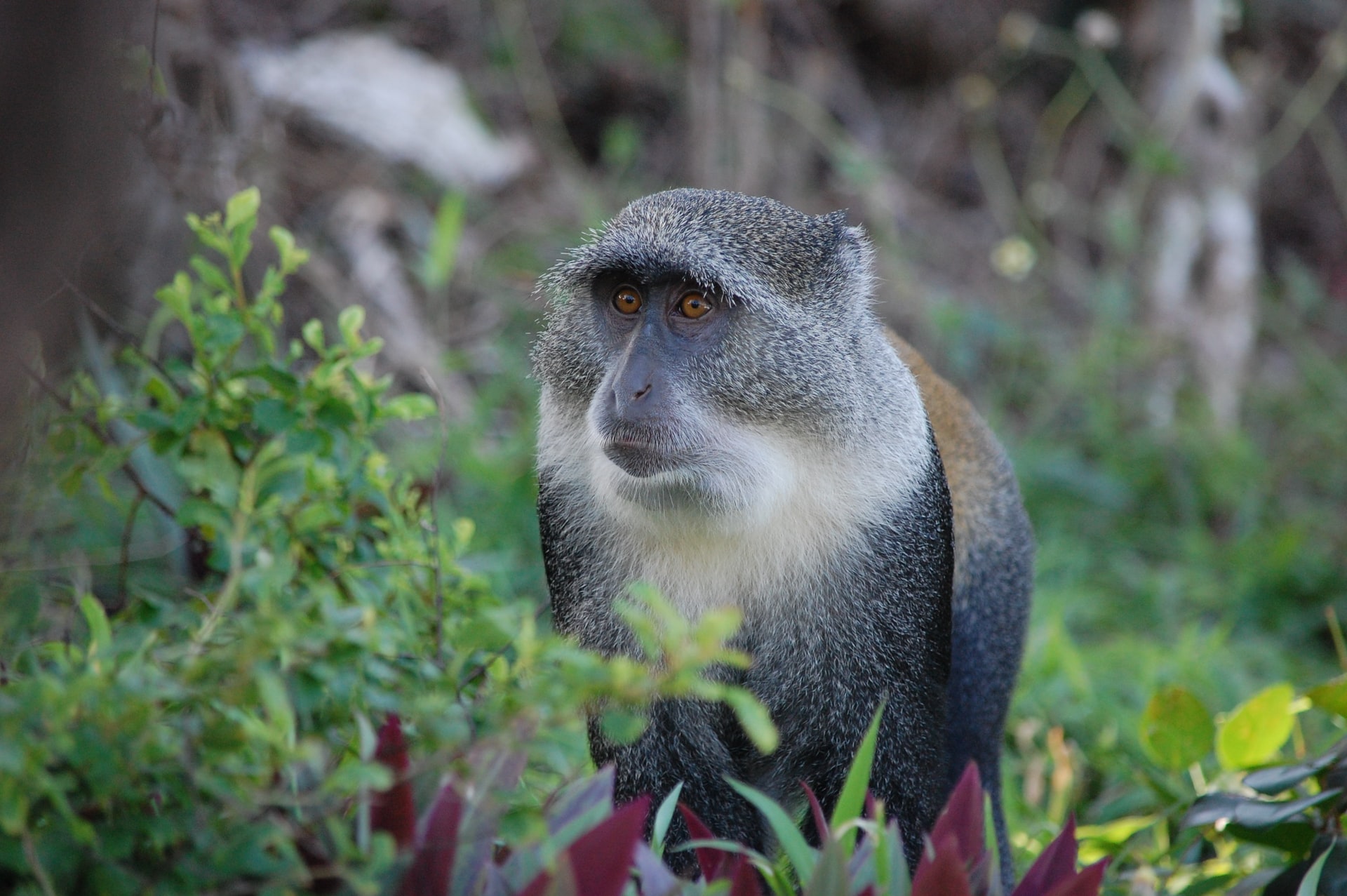 Top 10 Things To Do In Zanzibar For Solo Travelers